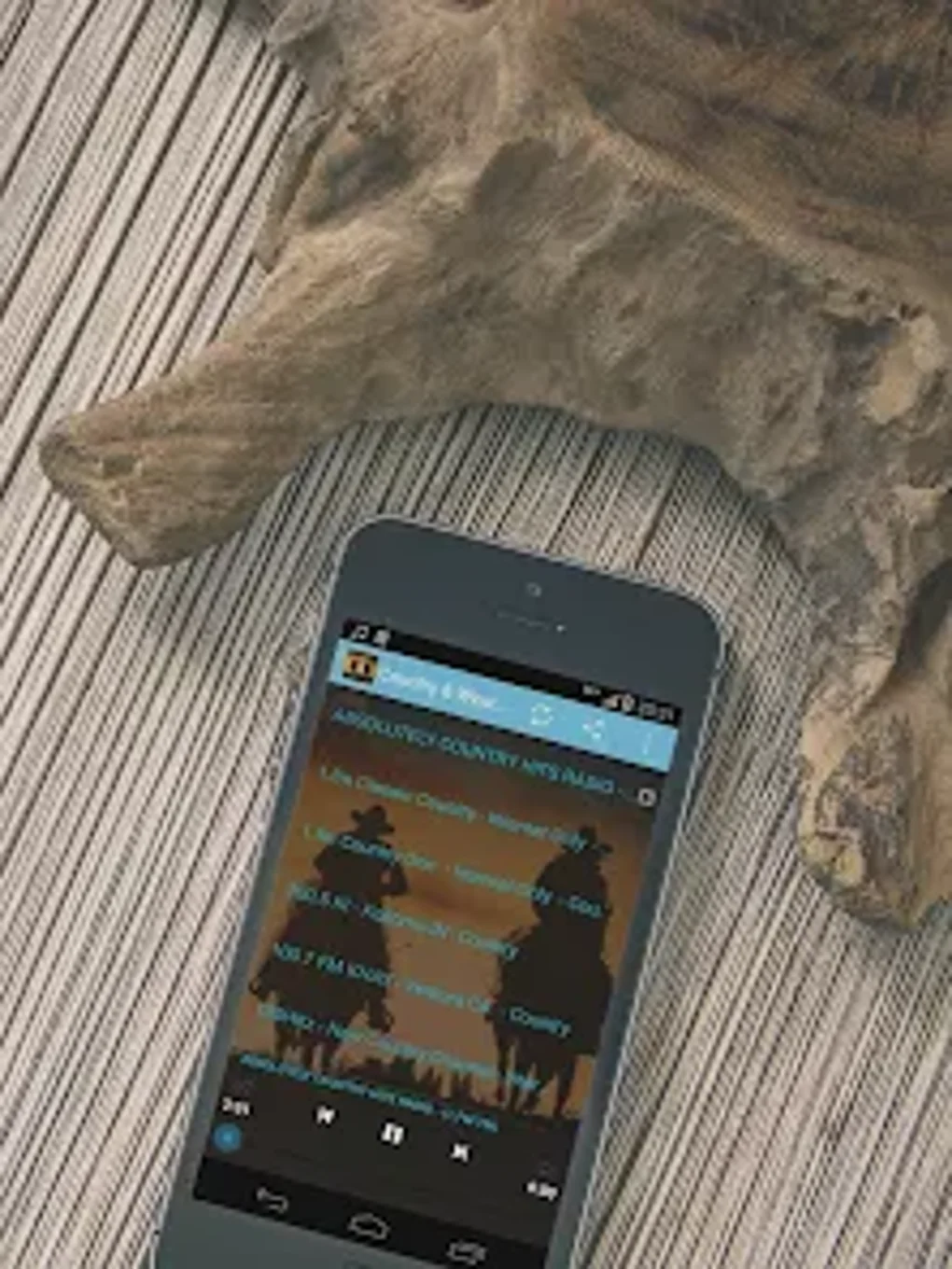 Country Western MUSIC Online Voor Android Download