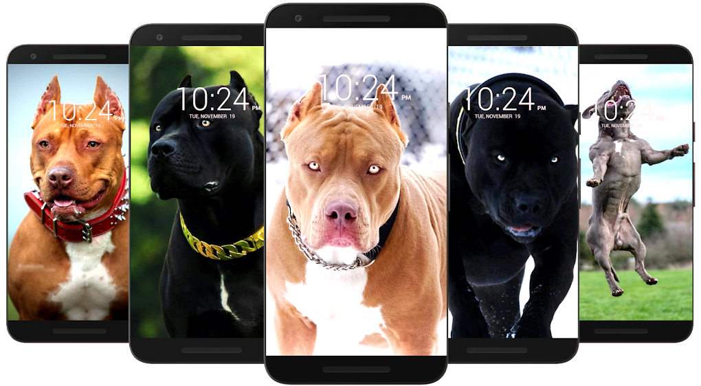 Pitbull Dog Wallpaper & Pitbull Puppy Backgrounds for Android - Download |  Bazaar