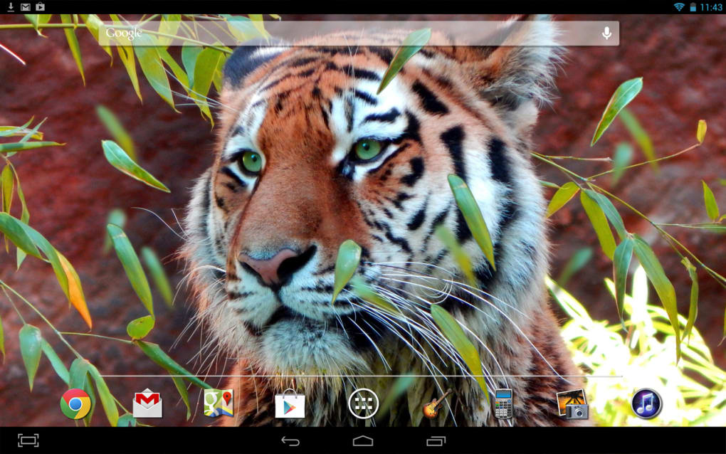 Tiger Live Wallpaper for Android - Download