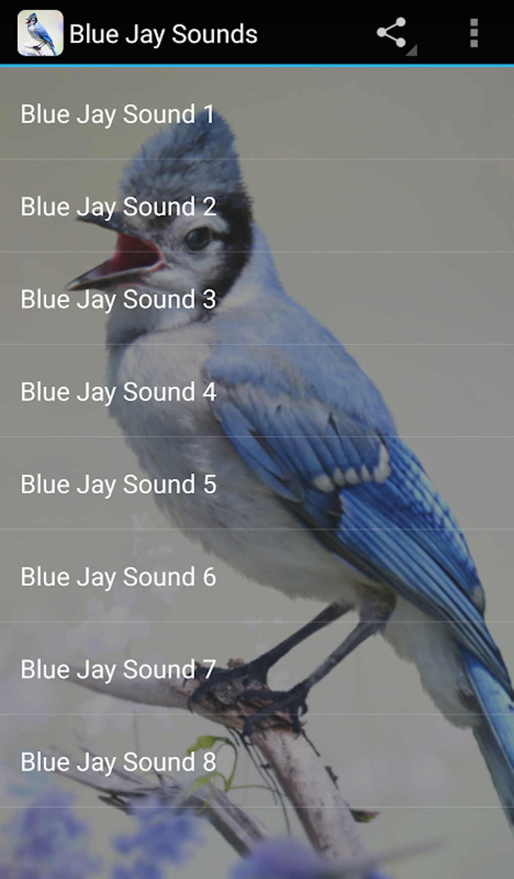 Blue Jay Sounds APK для Android — Скачать