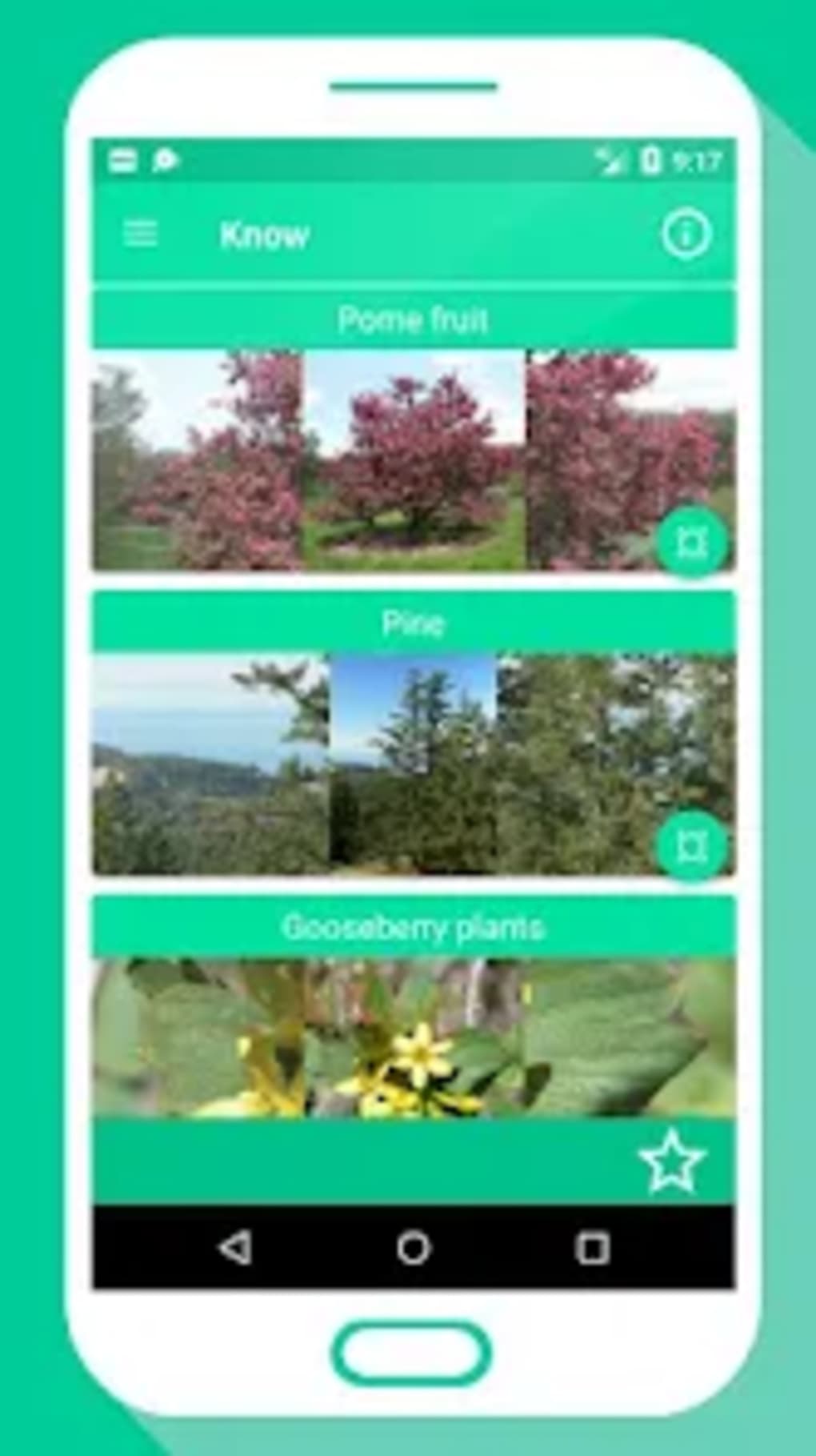 Tree Identifier App Los Arbo Screenshot 