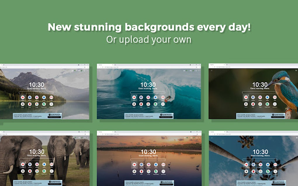 Treetab - The New Tab that Plants Trees for Google Chrome - Extension ...