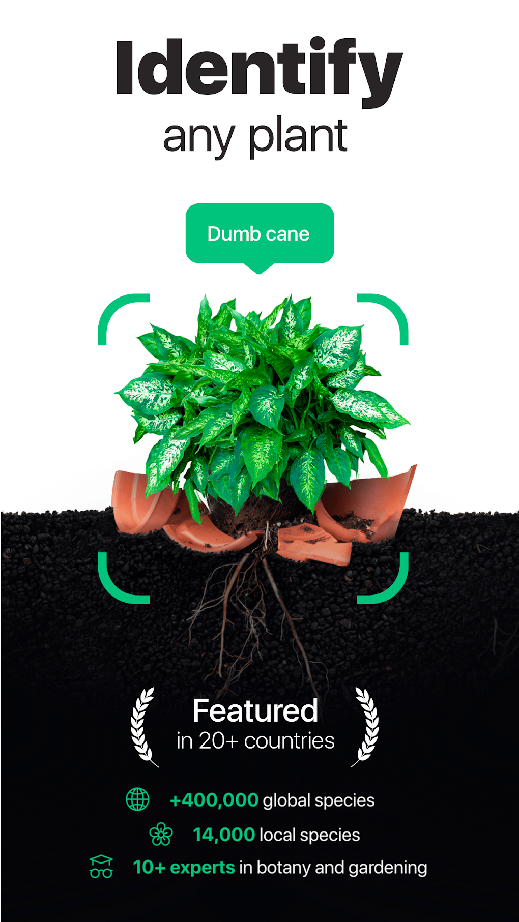 NatureID- Plant Identification для Android — Скачать