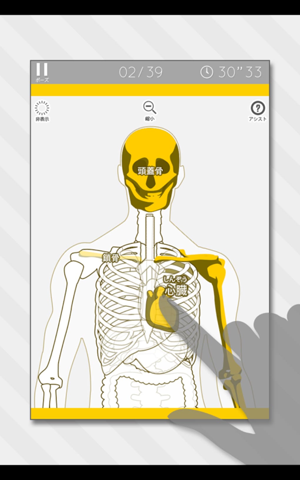 Enjoy Learning Anatomy Puzzle For Iphone 無料 ダウンロード