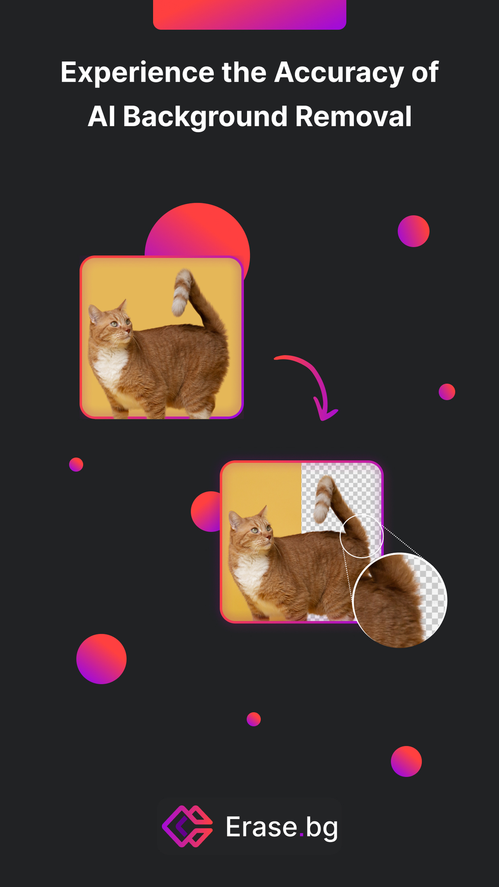 Erase.bg para iPhone Descargar