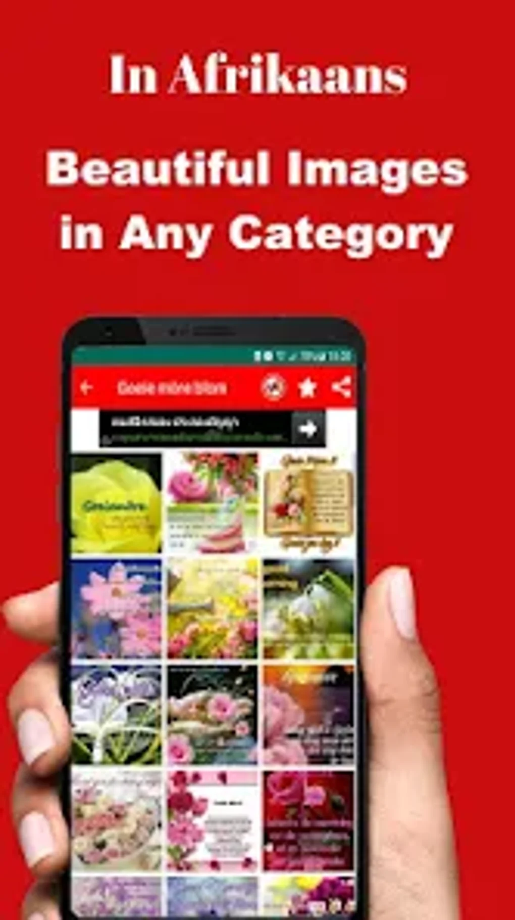 afrikaans-morning-to-night-para-android-descargar