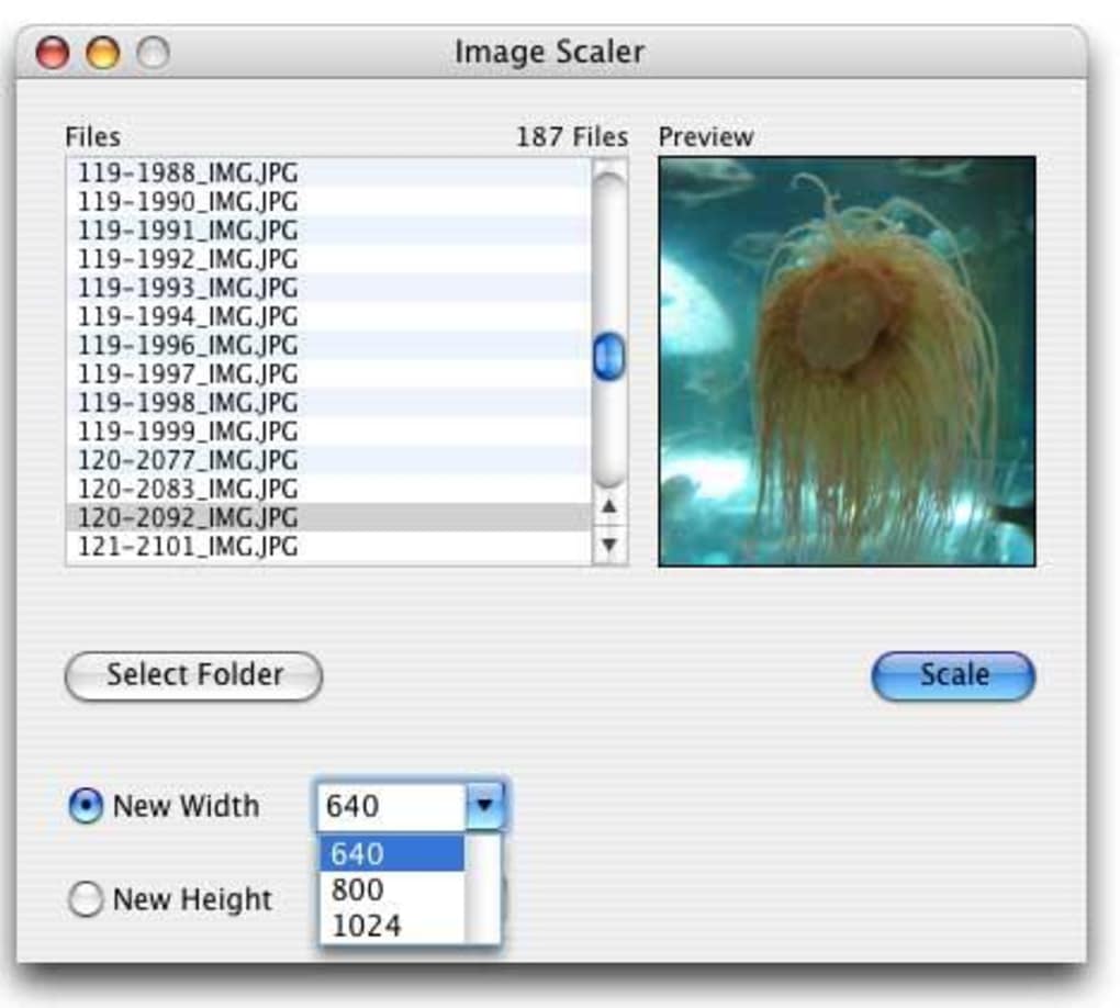 free download scaler for mac