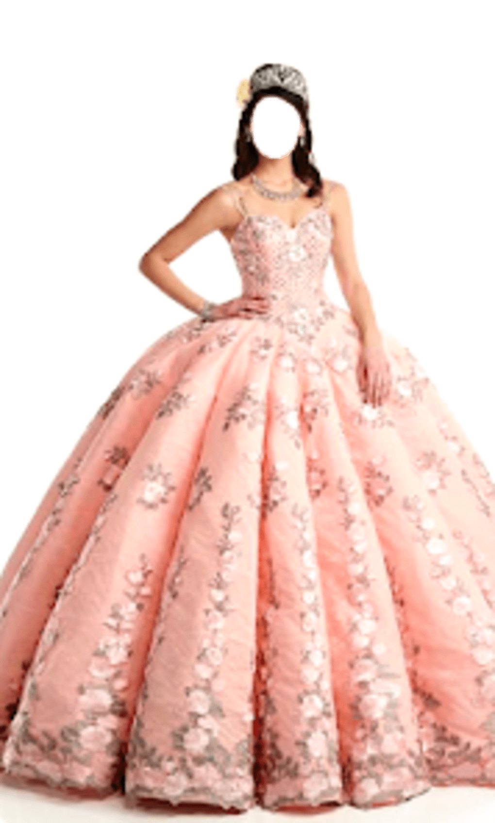 12 Disney-Inspired Dresses for the Quinceañera of Your Dreams | Quince  dresses, Gowns, Disney inspired dresses