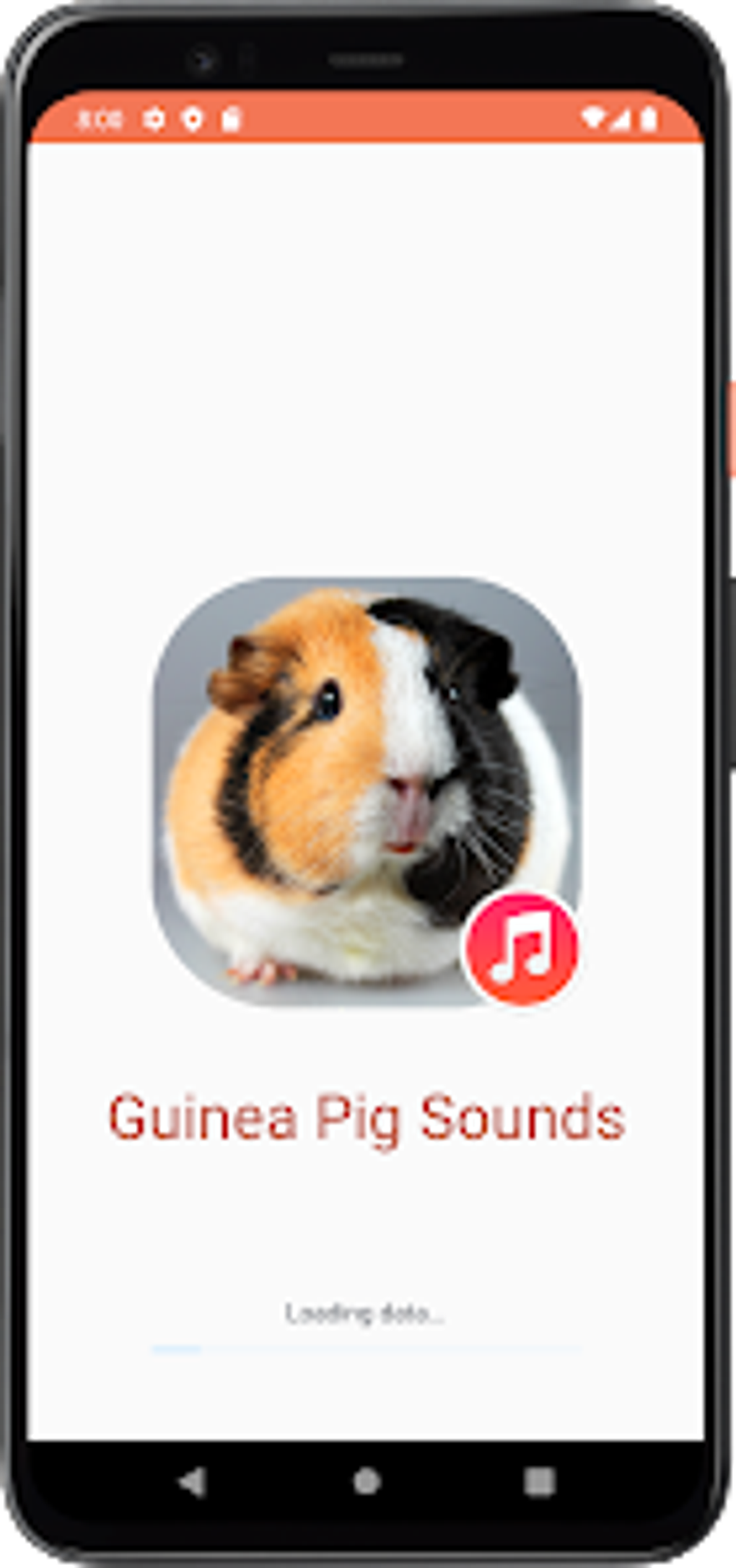 Guinea Pig Sounds для Android — Скачать