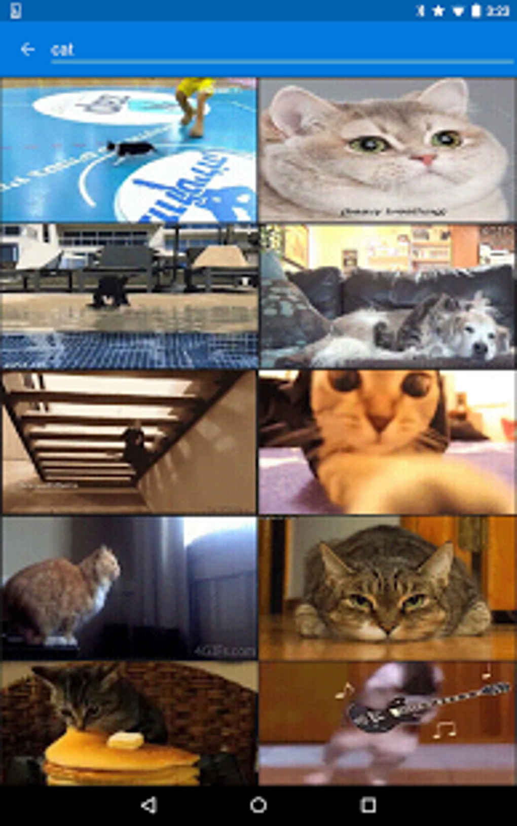 android gif keyboard search