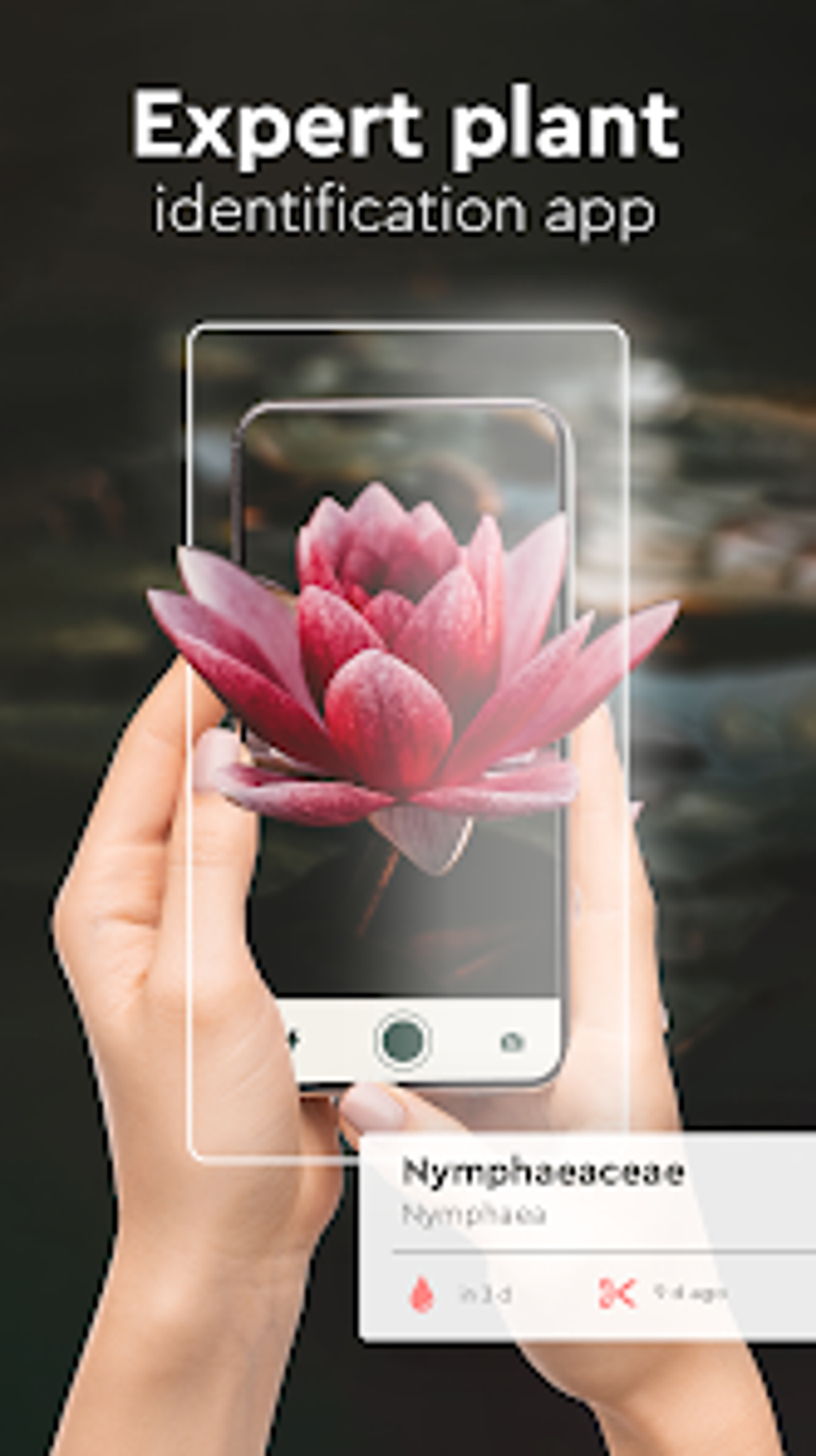 Plant Identifier Insect ID for Android Download Plant Identifier Insect ID for Android Download