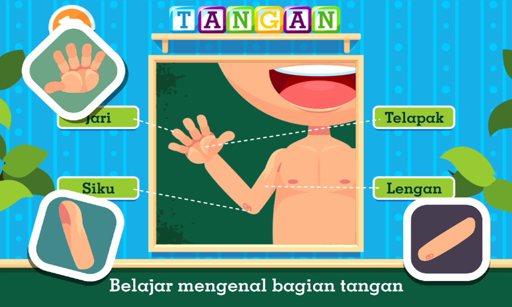 Marbel Bagian Tubuh - Belajar APK For Android - Download