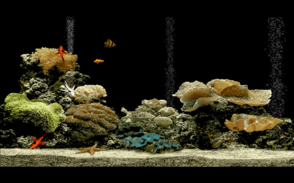 serenescreen aquarium gratuitement
