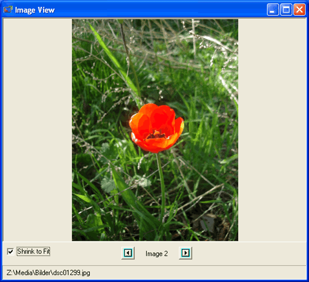 Resize image html