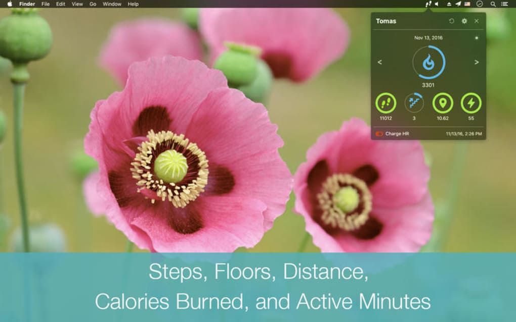 fitbit for mac