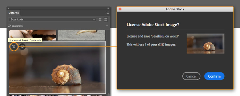 Buy Adobe Illustrator For Windows