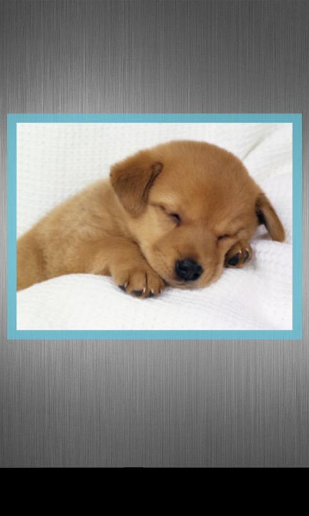 Nice simple photo widget apk for android download
