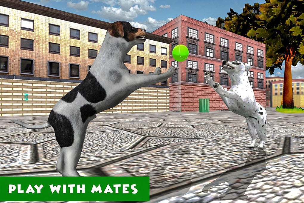 Pet Games, Play Online for Free