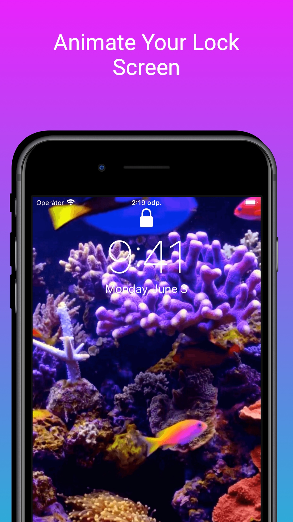 Live Wallpapers 4K UHD для iPhone — Скачать