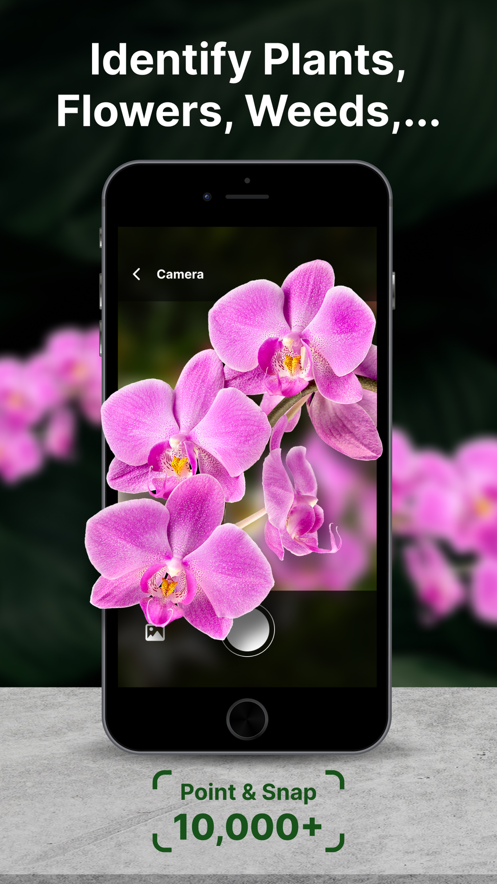 Plant Care App - AI Parent для iPhone — Скачать