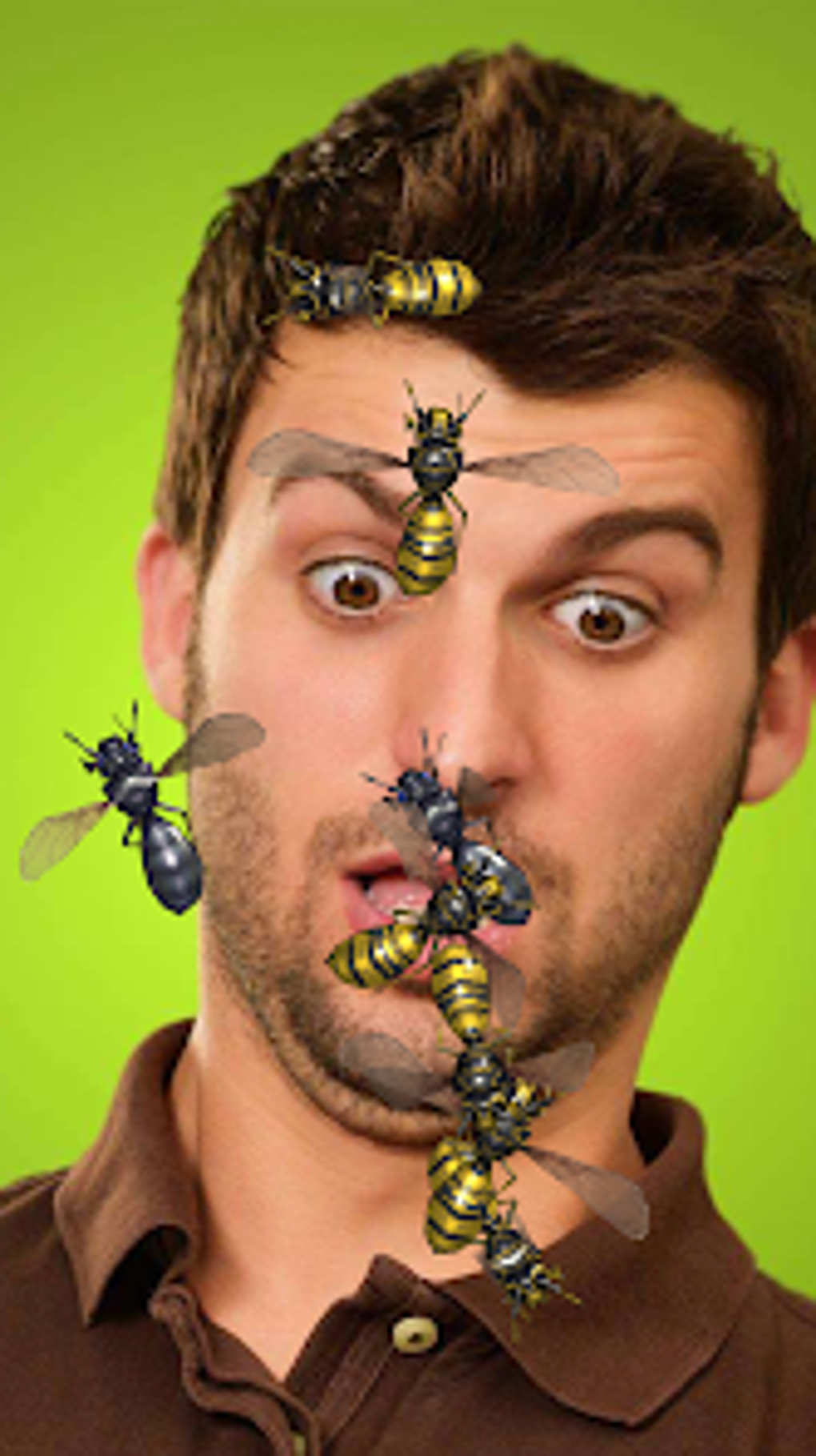 Insects Prank для Android — Скачать