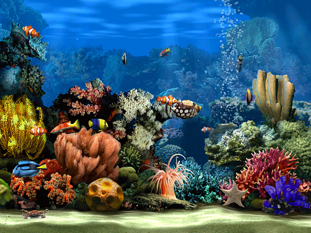 marine aquarium screensaver free download