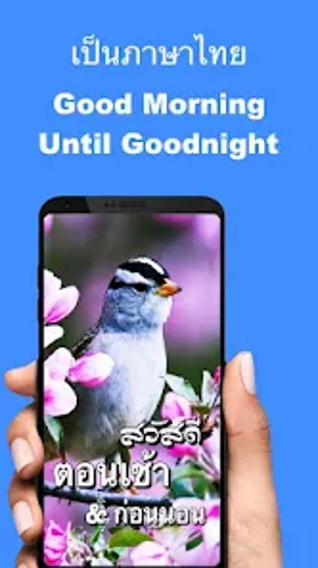 Thai Good Morning Good Night для Android — Скачать