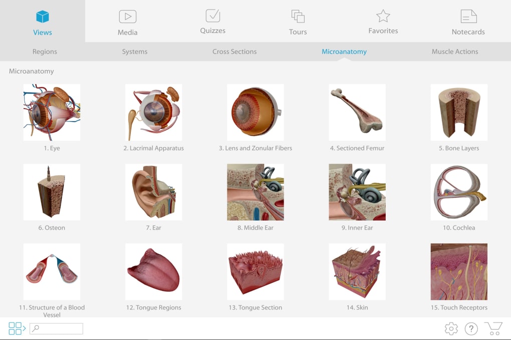 Anatomie - Atlas 3D - Anatomy 3D Atlas – Microsoft Apps