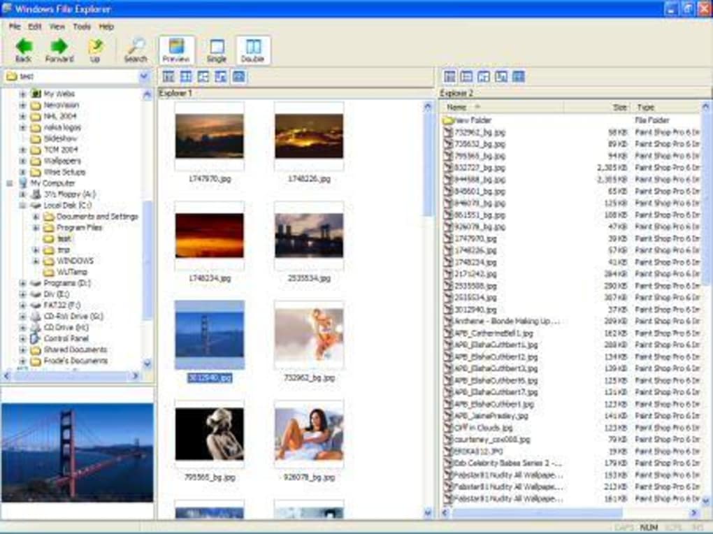 download file manager for windows
