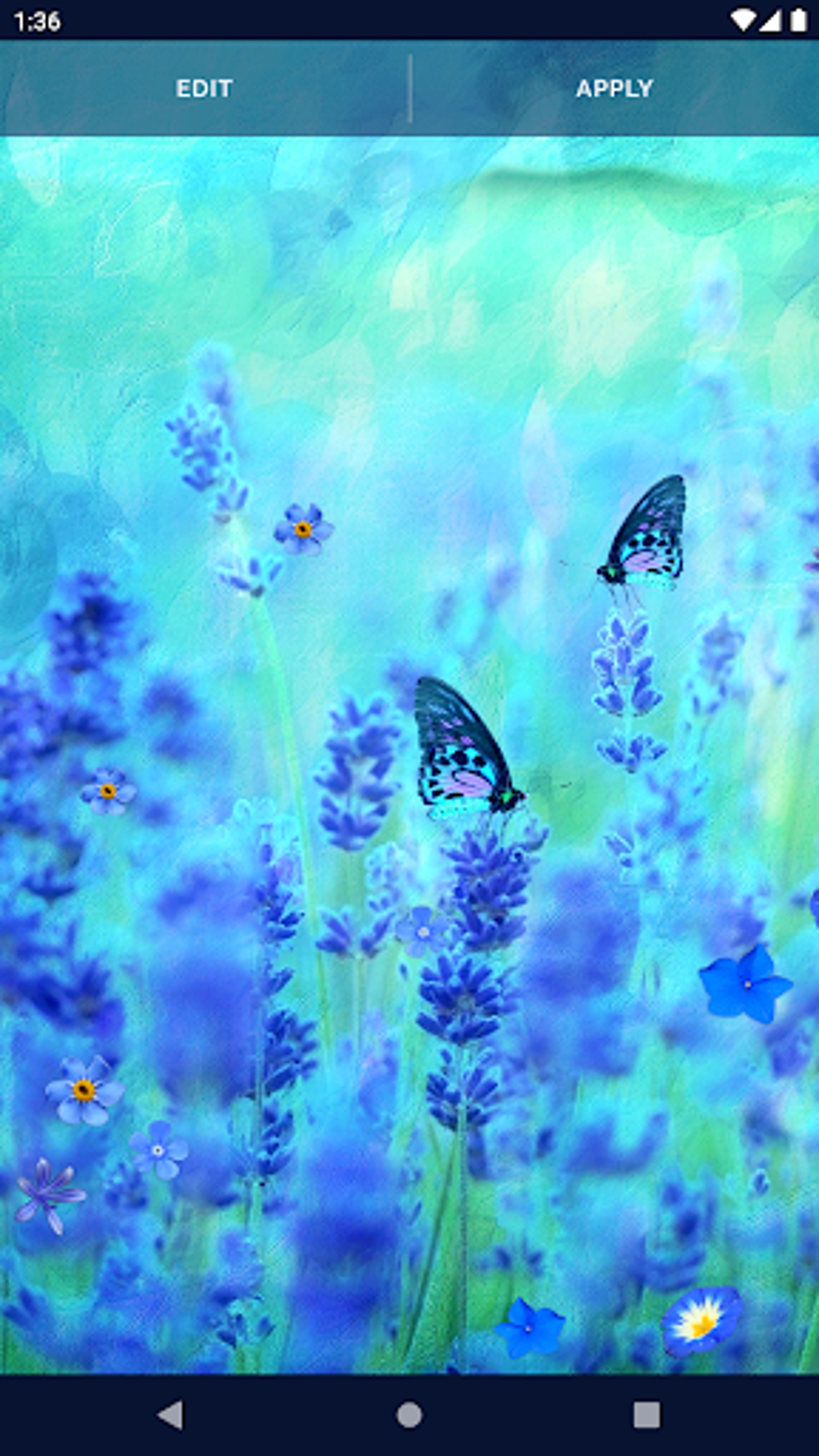 blue-flowers-live-wallpaper-apk-for-android-download