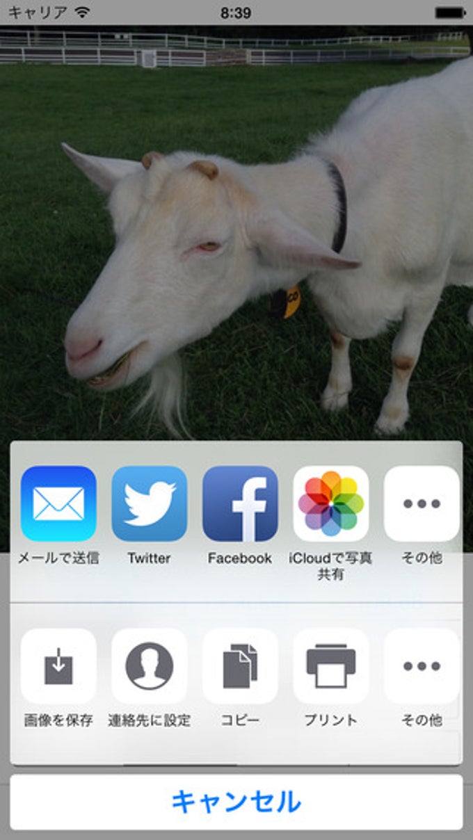 ImageResize ImageResize