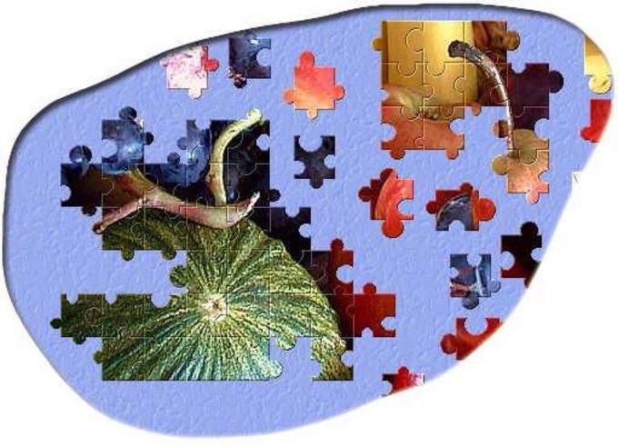 brainsbreaker gift puzzles with minimal pieces
