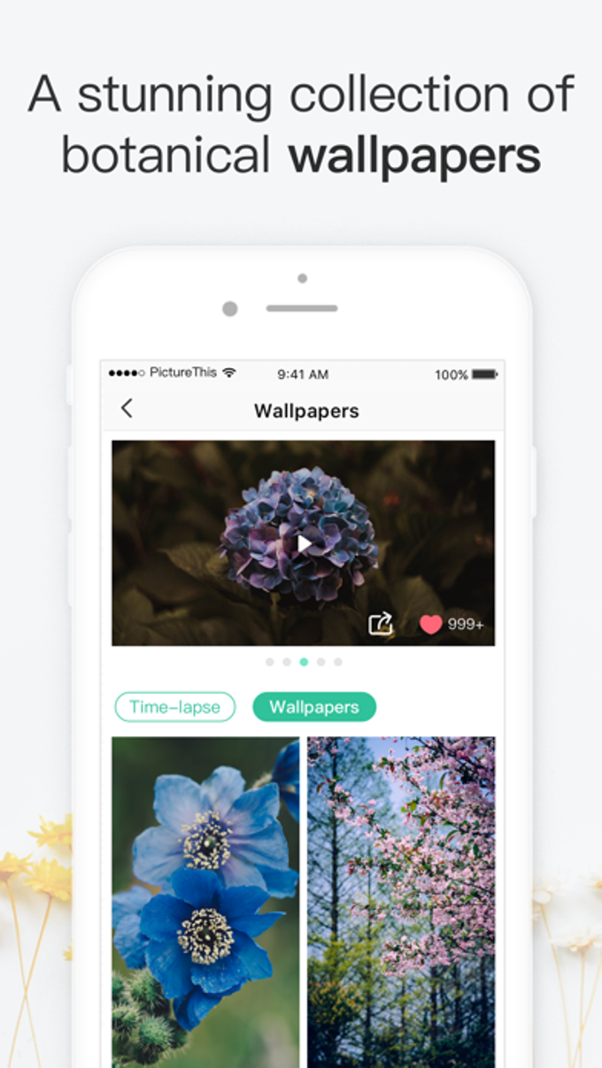 PictureThis - Plant Identifier