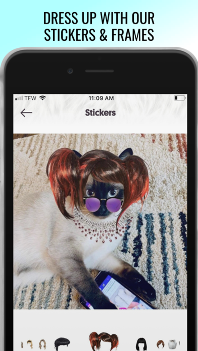 Petzbe: No Humans Allowed