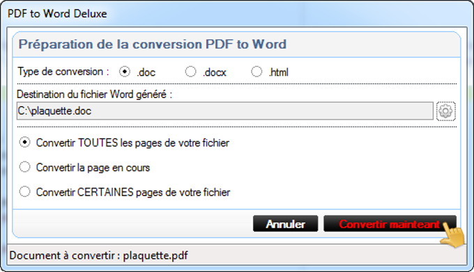 PDF to Word Deluxe PDF to Word Deluxe