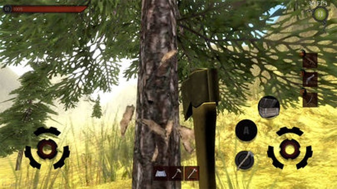 THE FOREST. THE FOREST.