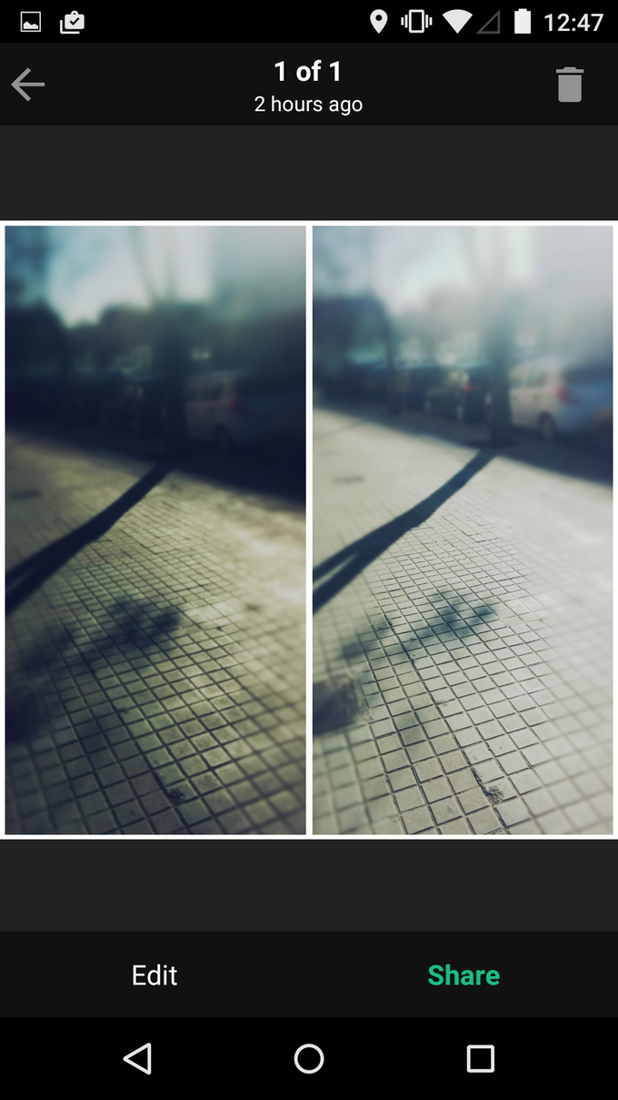 Camu Camu