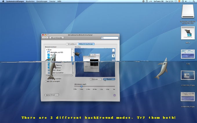 Desktop Dolphins 3D Screen Saver Desktop Dolphins 3D Screen Saver