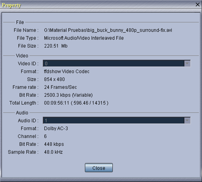 MPEG Video Wizard DVD Descargar
