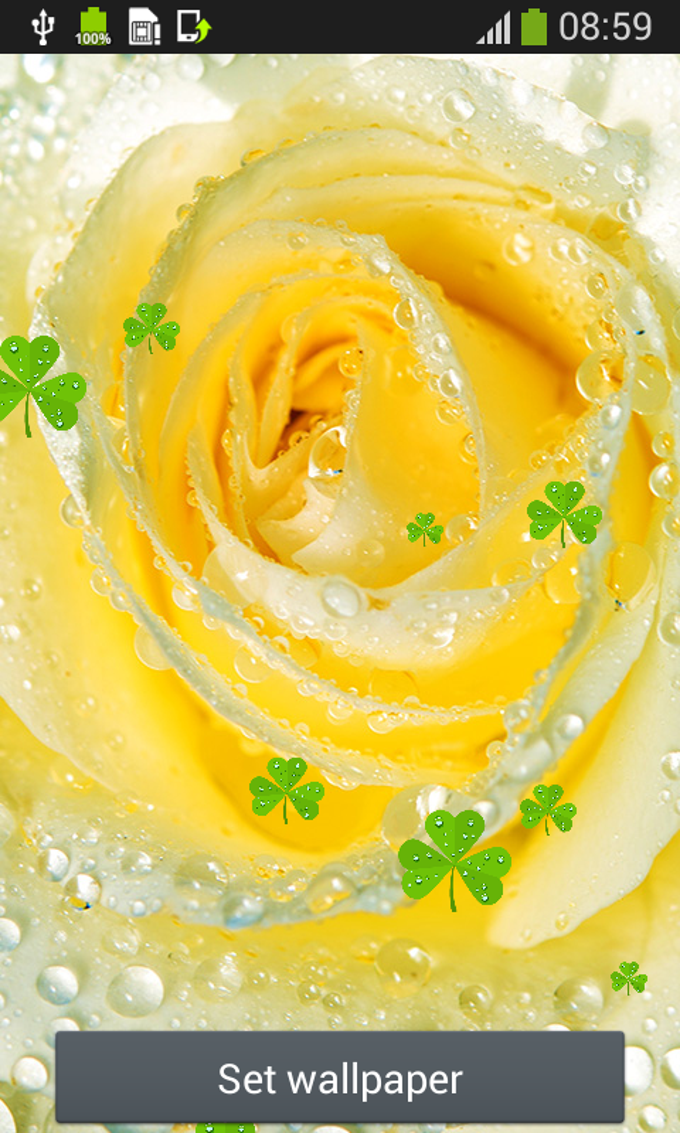 Rain Drops Live Wallpapers Rain Drops Live Wallpapers