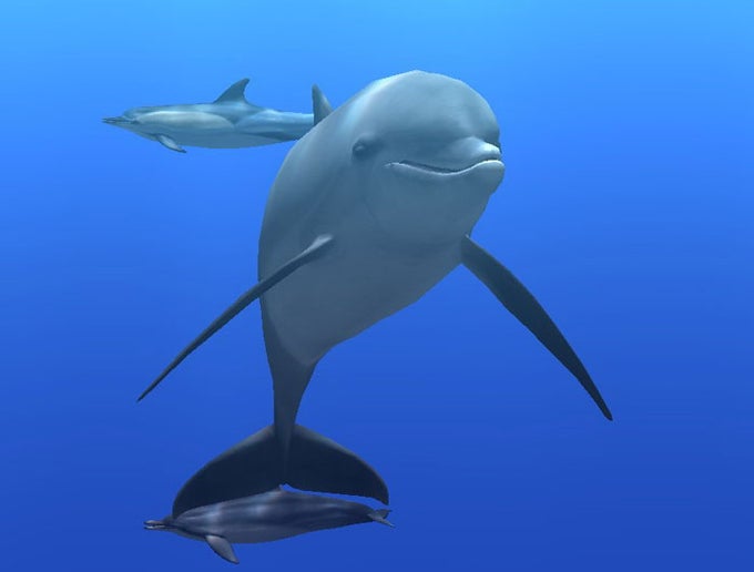 Digifish Dolphin Digifish Dolphin