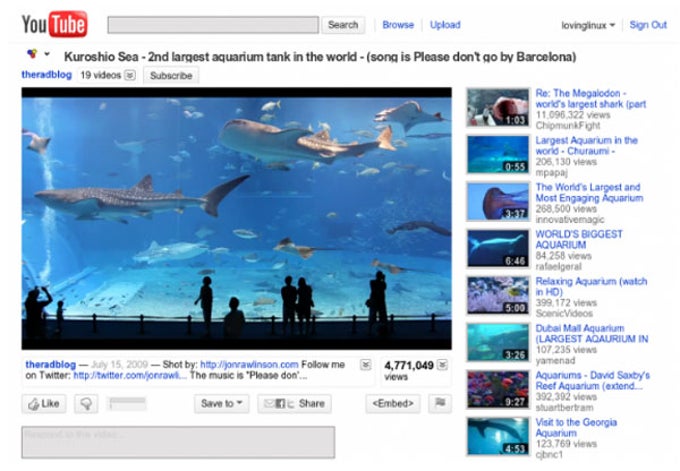 FlashVideoReplacer FlashVideoReplacer