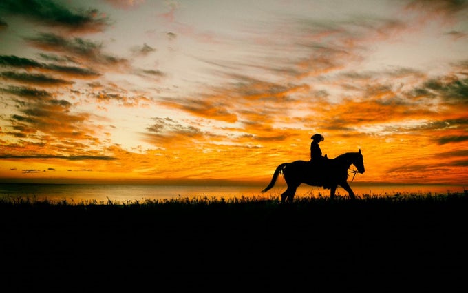 Ranch Hands Ranch Hands