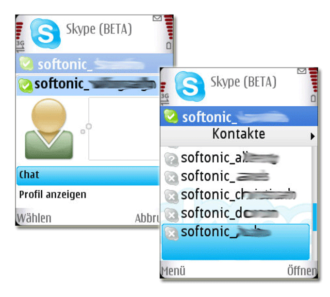 java control panel shows skype logo