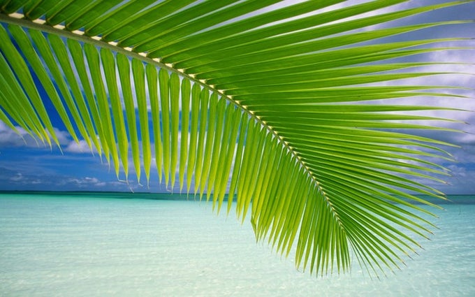 VistaMizer Windows Vista Wallpaper Pack VistaMizer Windows Vista Wallpaper Pack