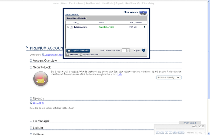 RapidShare RapidShare