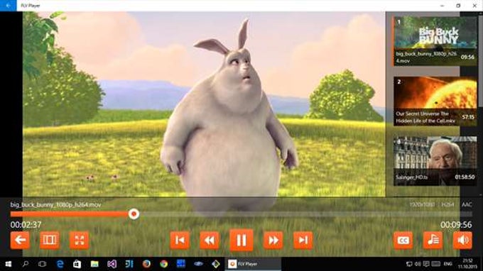 FLV Player FLV Player