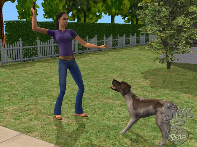 The Sims 2 Pets Download