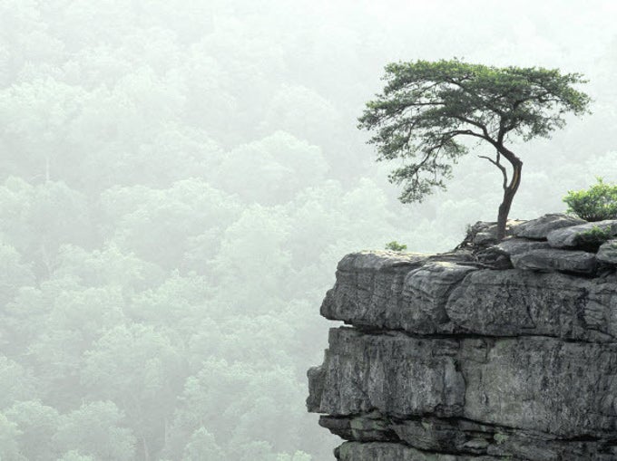Best Nature HD Wallpaper Pack Best Nature HD Wallpaper Pack