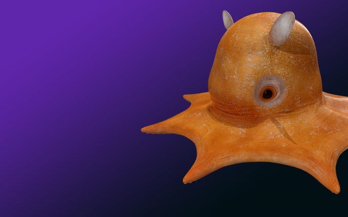 Remix 3D Ocean Life Remix 3D Ocean Life